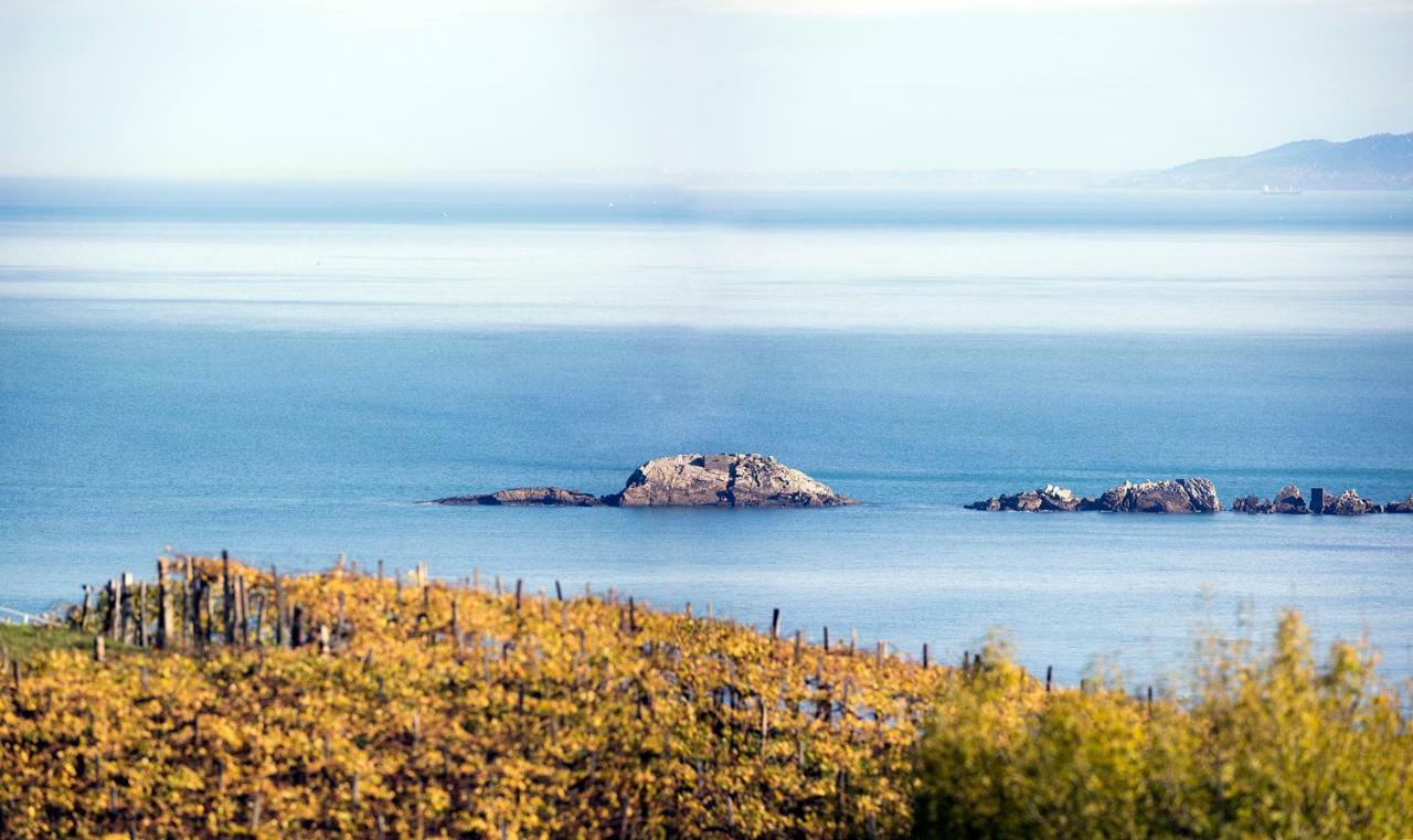 Apartmán Aterian Pilartxo Enea Zarautz Exteriér fotografie